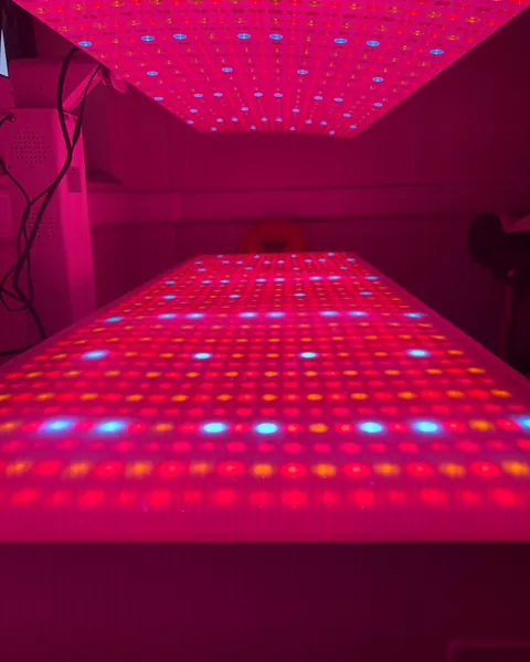 Close-up of the red and near-infrared LEDs in the bed's upper and lower panels
